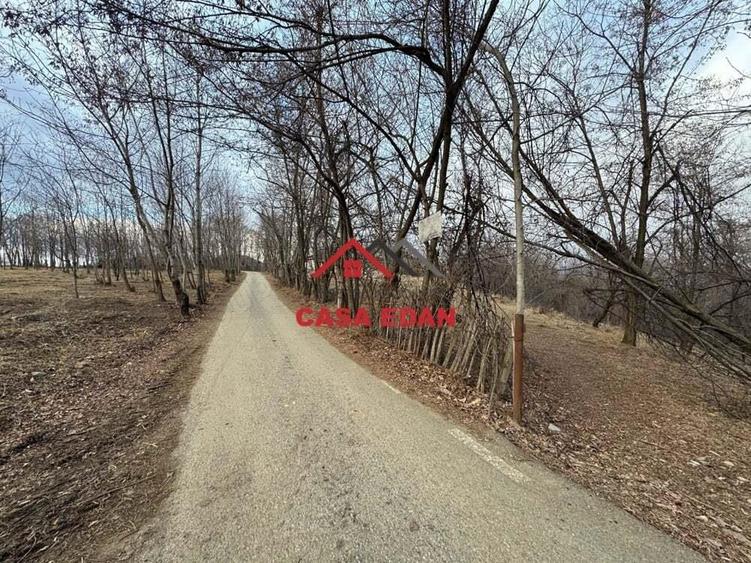 Teren intravilan in Cornu--3074m--90.000e - 10