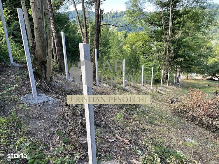 Teren Provita de jos 2300 mp Centru - 2