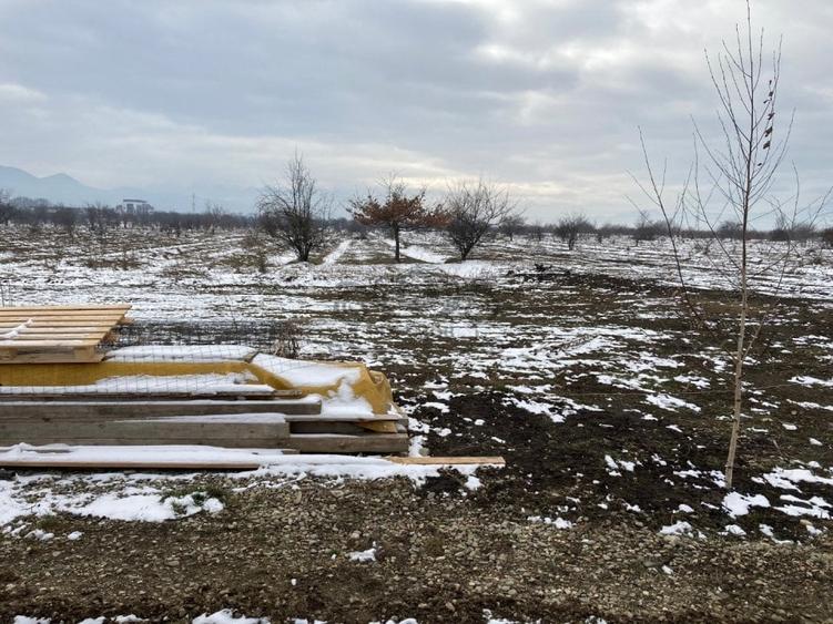 Teren intravilan de vanzare pentru constructii case Ghimbav - 1