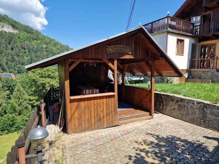 Pensiune în mijlocul naturii Bran - 3