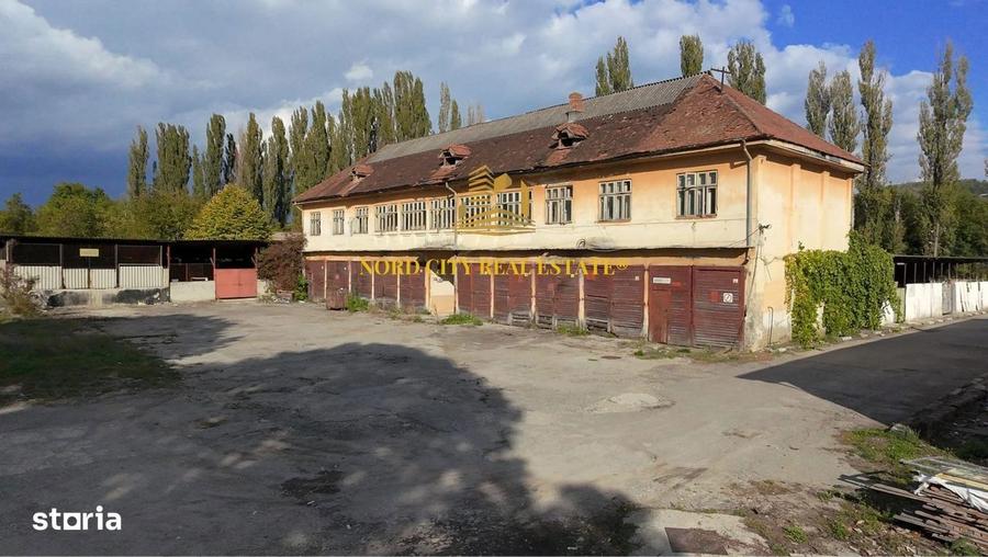 Platforma Industriala-8 ha -Fabrica-Hale Productie-21.500 mp - 4