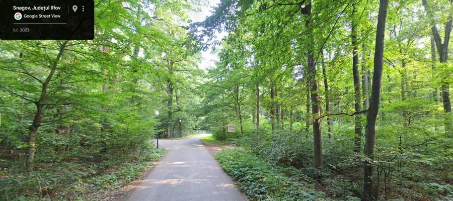 Teren de Vis pe malul lacului Snagov / 4000 mp in inima Naturii /40 m deschidere - 5