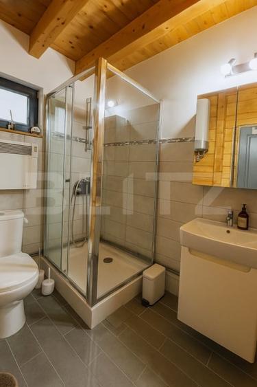 Casa ecologica tip sandwich, eficienta energetic, teren 2.673 mp, zona Baisoara - 7