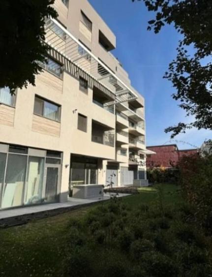 Zona Stefan cel Mare sp 313 mp inchiriat - 5