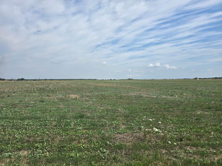 Mosnita Veche - 11 parcele - 10800 mp- CF individuale - 9