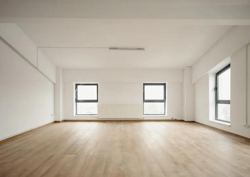 Spa?ii office de inchiriat - la 5 minute de Palas - 2