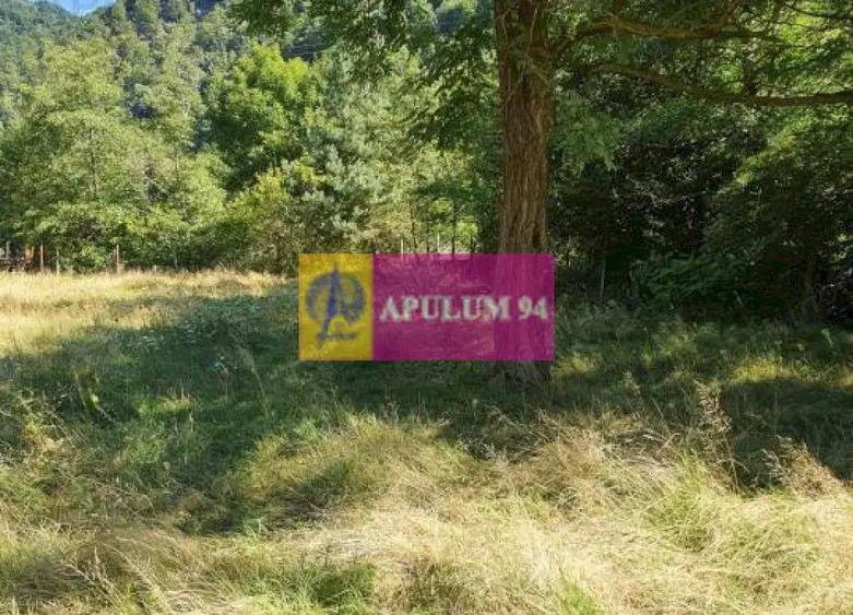 Teren Jude?ul Valcea - Brezoi, Valea lui Stan - 8