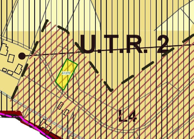 Teren intravilan 867 mp Paleu, zona str. Padurii zona Oncea - 1