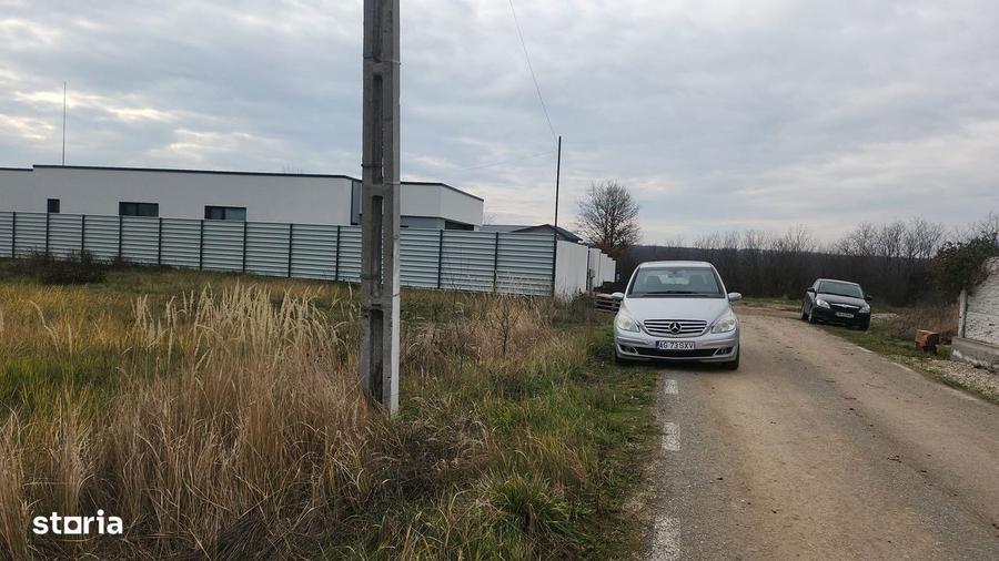 Teren 1776mp in apropiere de padure - 1