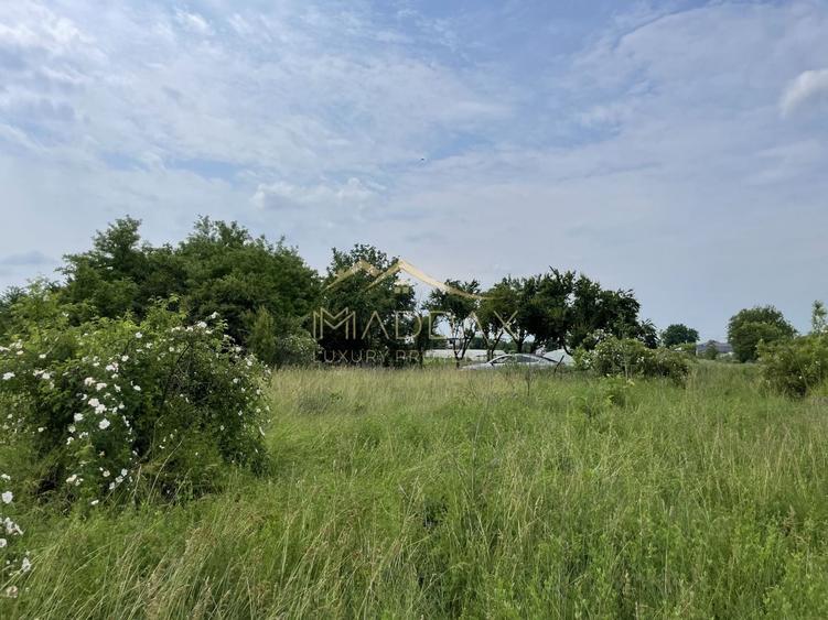 Teren Construcții intravilan de 1439 mp, în Crețești