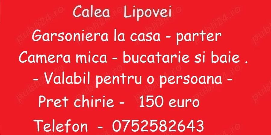 Lipovei - la casa - 6