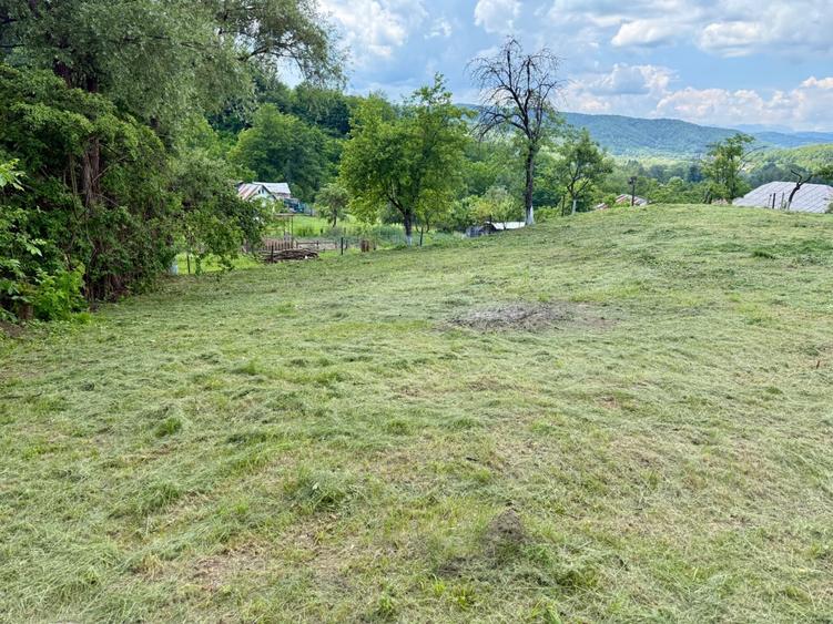 Teren intravilan de vanzare Valea Lunga Ogrea - 6