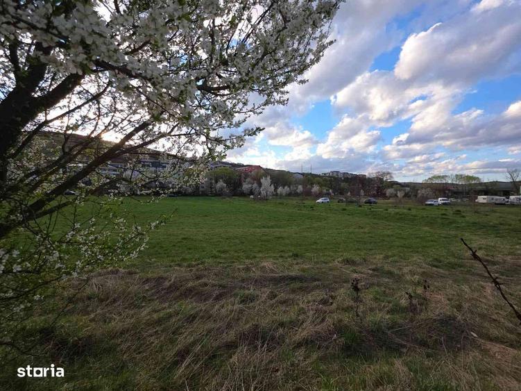 Apartament de vanzare in mijlocul naturii - 2