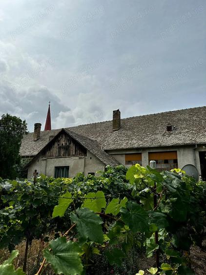 Casa de patrimoniu rural, sfar?it secol XIX Otelec - 6