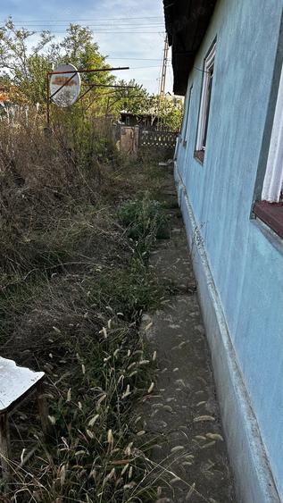 Teren 800 mp + casa batraneasca 60 Km de Bucuresti Draganesti-Vlasca -Sat Comoara - 10