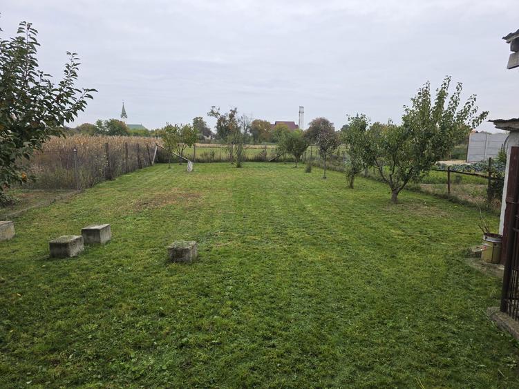 Vand casa individuala - 4