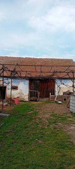 Vand casa in pianu de jos - 1