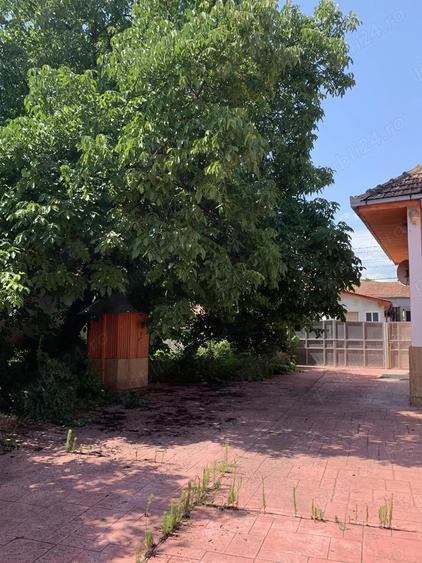 Vand casa conac Comuna Cricau, judet Alba - 9