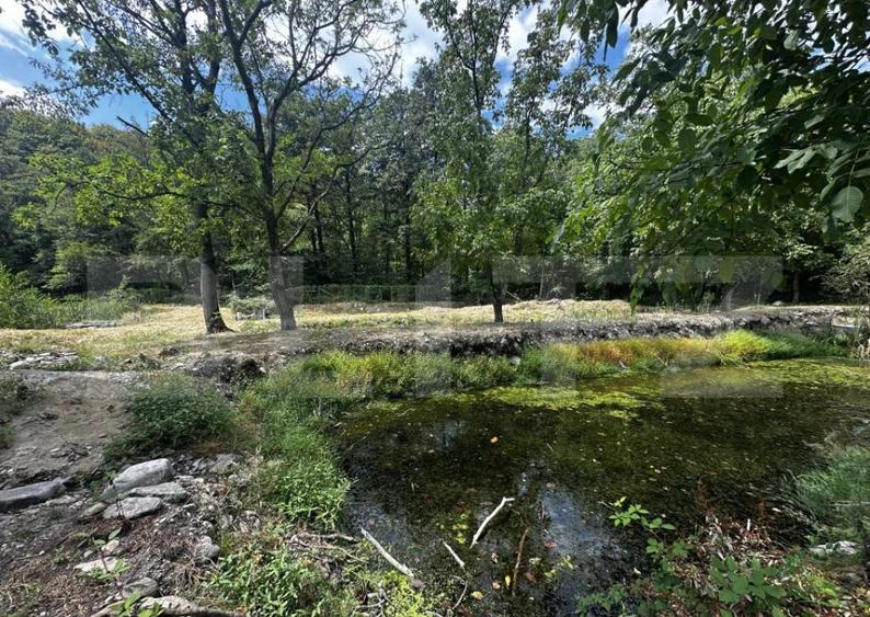 Teren, 12 000 mp, zona Crasna - 4