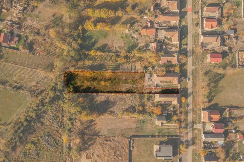 Parcele intravilane | Jebel | Drum de servitute | - 2