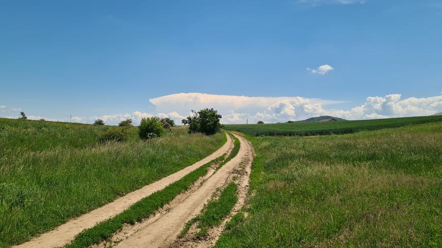 TEREN INTRAVILAN  BOD - 1200 mp pentru constructii case Sp+P+E+M - 13