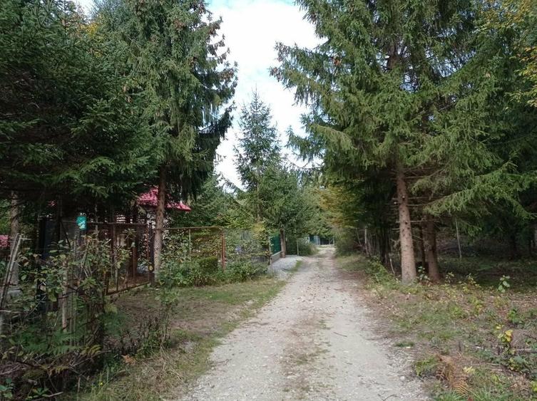 Teren intravilan de vanzare - 3