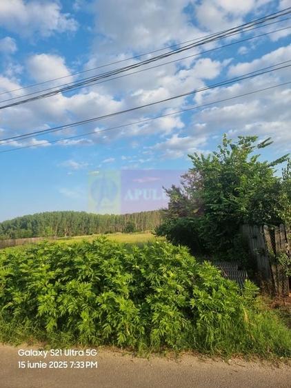 Se vinde teren 2150 mp in Teisori Giurgiu - 8