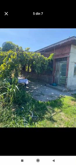 Vand urgent 21.000 euro - 5