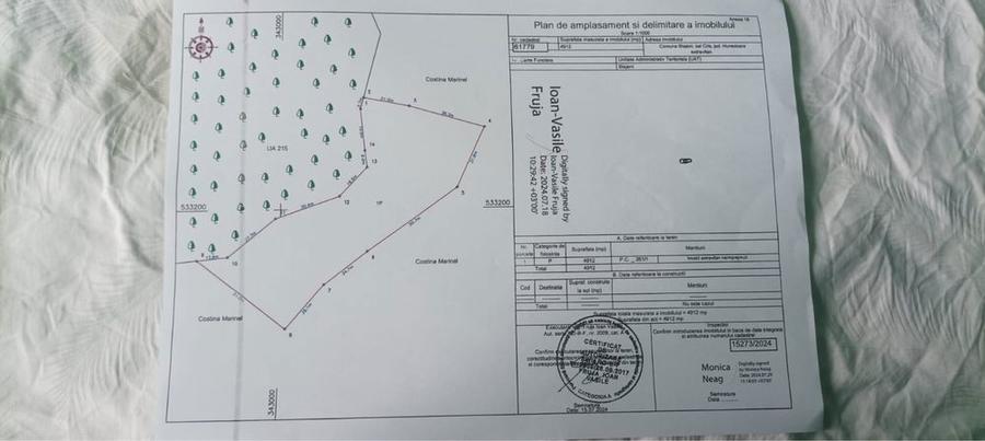 Se vinde teren-10 hectare in comuna Blajeni judetul Hunedoara - 4