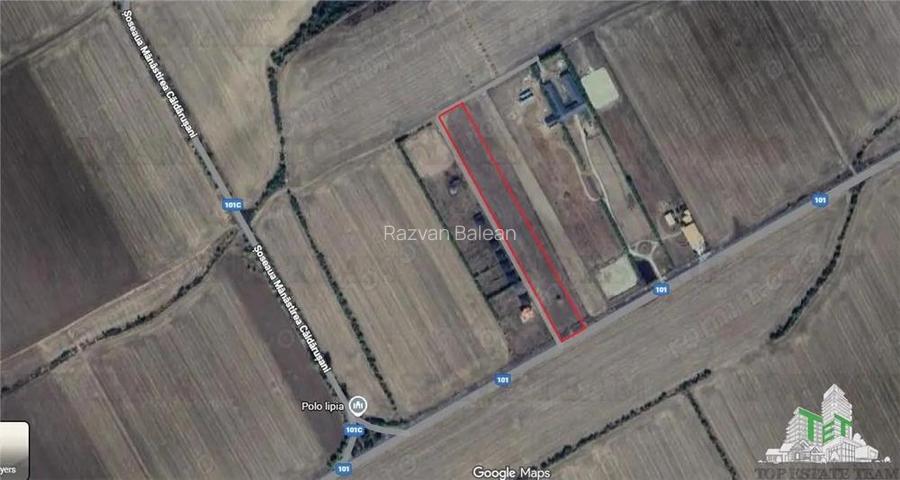 Super teren intravilan (Lot 1) la DJ 101, loc. Gruiu IF, ideal pentru dezvoltatori imobiliari pentr