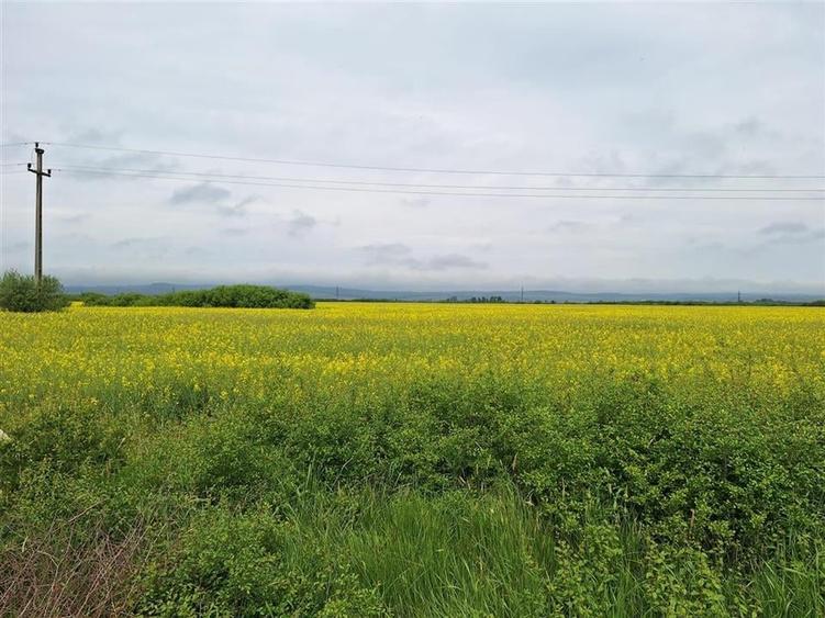 Reco, teren intravila la E60 sacadat - 1