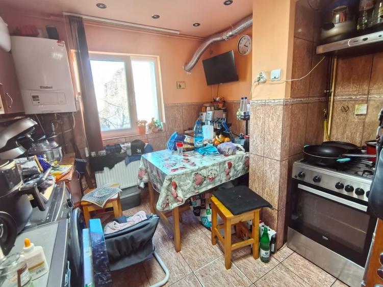 Apartament cu 2 camere  Dacia-Torontalului Iulis Mall - 9