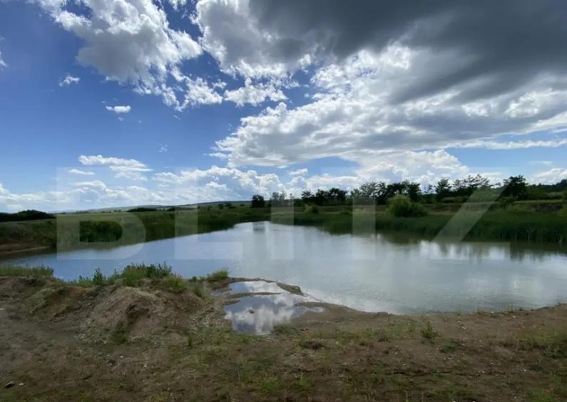 Teren extravilan 10000 mp, cu balta de peste, Salaj, Sarmasa - 3