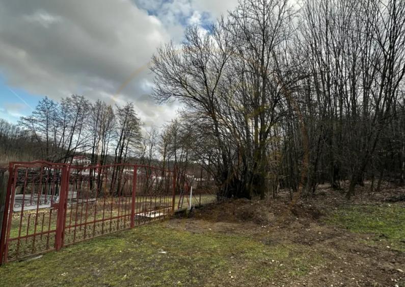 Teren 844 mp Mosoaia-Basangesti - 3