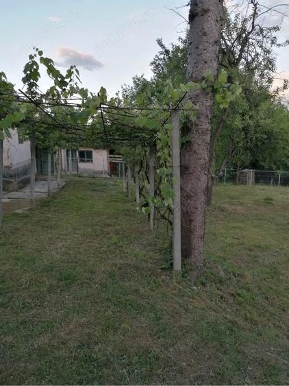 Vand casa batraneasca + teren 1100 mp sat Ulmetu, comuna Varfuri, Dambovita - 3