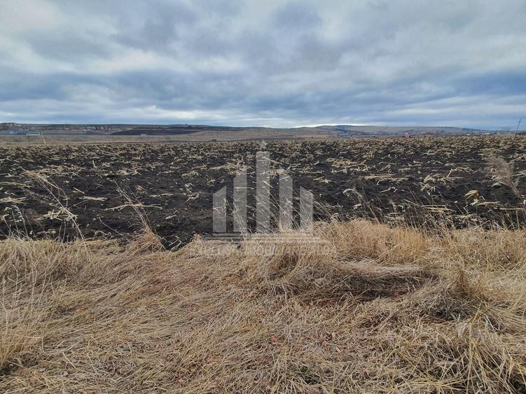 Teren extravilan | De vanzare | 1300 mp | 25 ml deschidere | Ciugud - 4