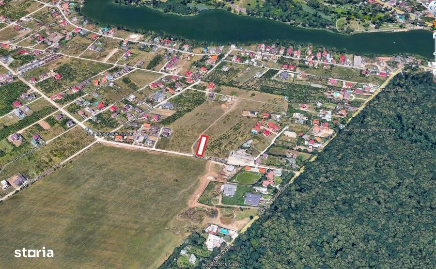 Teren de vanzare 1000mp Mogosoaia, excelenta investitie, 115E/mp+TVA - 1