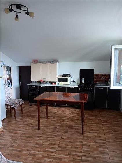 Copou Vila P+M Su.165mp Teren 1000mp vecin cu limita Gradina Botanica - 10