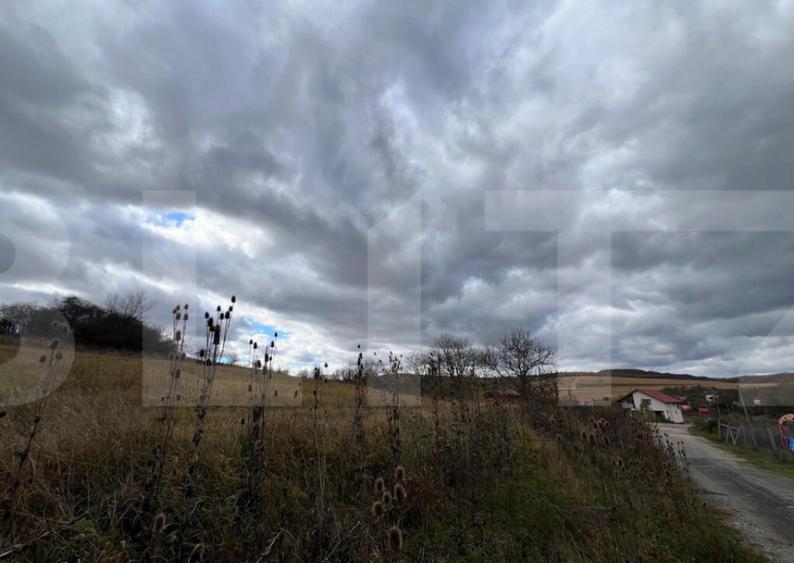 Teren de vanzare perfect pentru investitie in Babutiu - 4