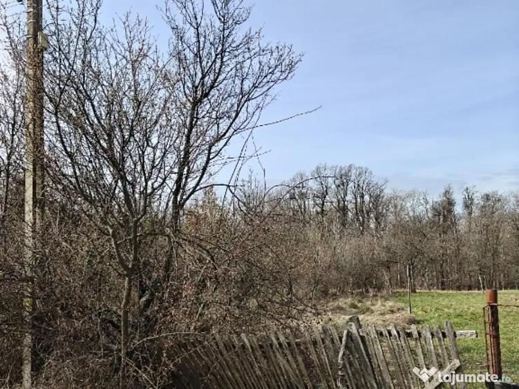 Teren Intravilan 1.472 mp Cotmeana - Linte?ti, Utilita?i la gard, langa Padure - 4