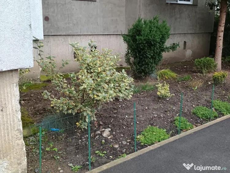 Vand apartament cu 3 camere central aproape de scoala - 3