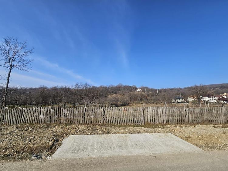 Teren 2500 mp în natură, Valea Bratia, priveliște spre munți - 4