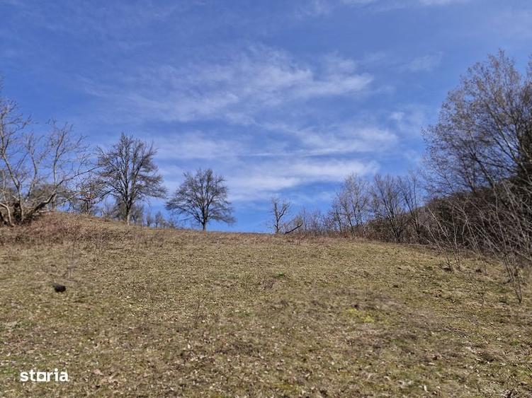 Casa de vanzare la deal - 8