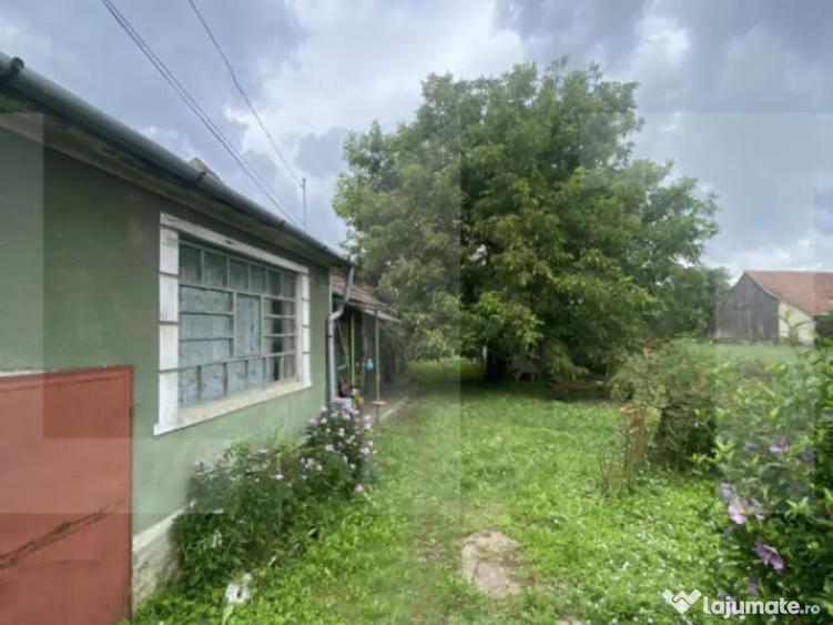 Casa tradi?ionala cu teren generos Belin - 1