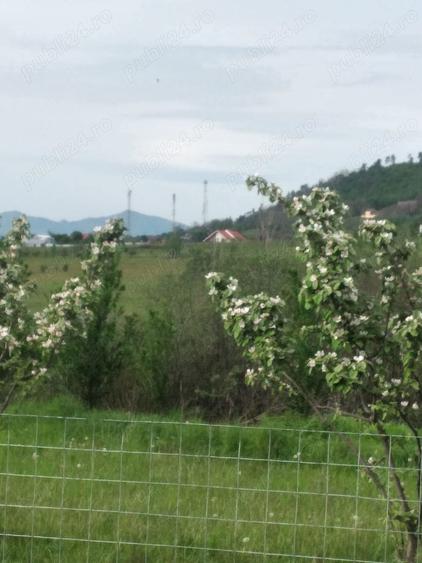 Vand teren in intravilanul ora?ului - 10