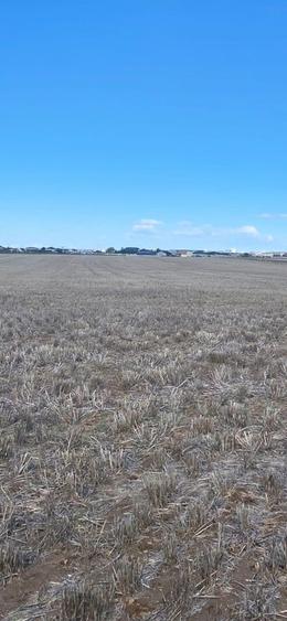 Vand Teren zona Selgros - Preajba - 3