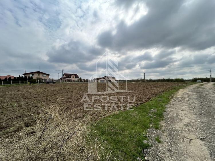 Parcele 550 mp, PUZ nou, langa case construite, asfalt, SAG-Manastire - 1