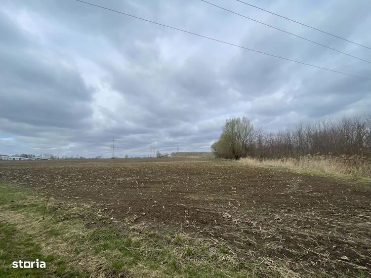 Teren Intravilan | 50 Ari | Zona Periferica Radauti - 4