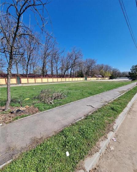 Loturi teren zona SERE Alexandria si Nanov - 4