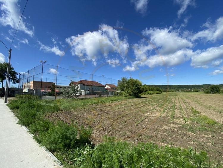 Teren intravilan 7.295 mp – Argeselu, Maracineni, AG - 4